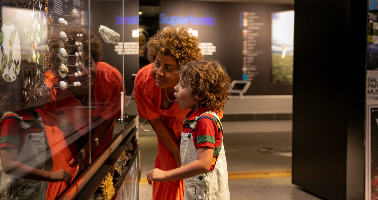 Mum and Son viewing land life culture exhibit at Tweed Regional Museum