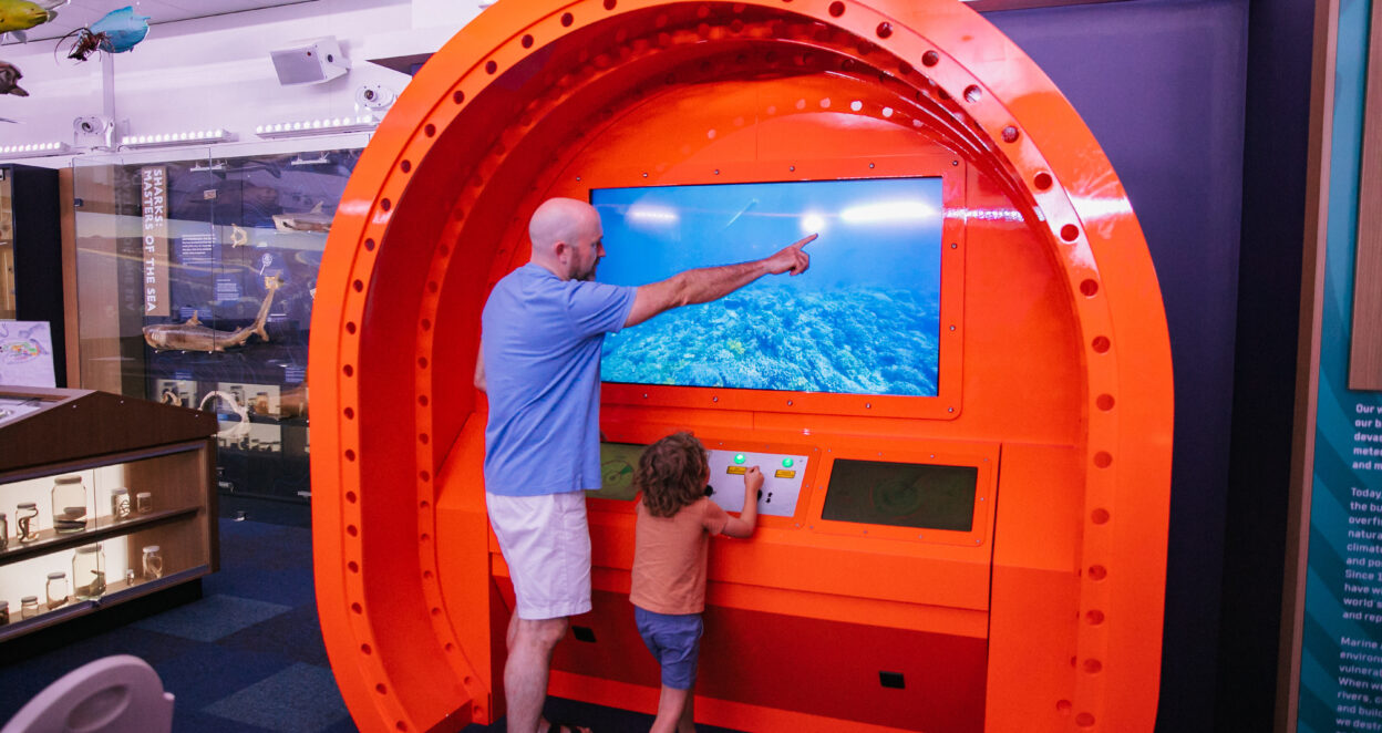 Dad and son use interactive screen at Marine Discovery Centre Hastings Point