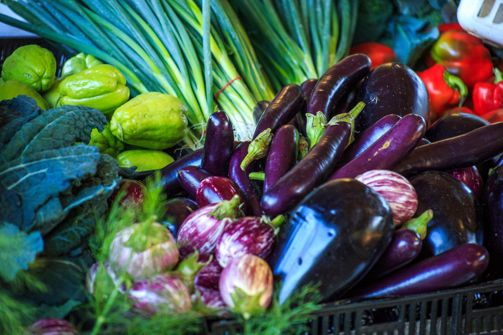 Murwillumbah Farmers Market