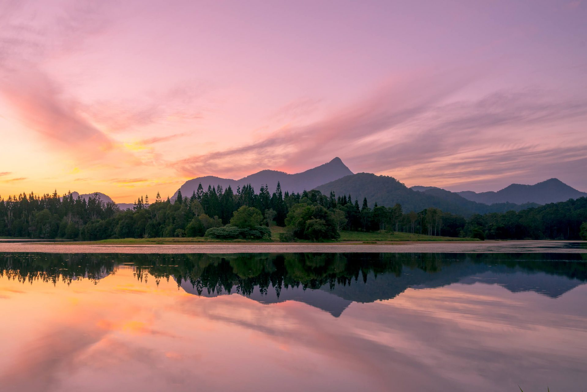 Wollumbin Mount Warning