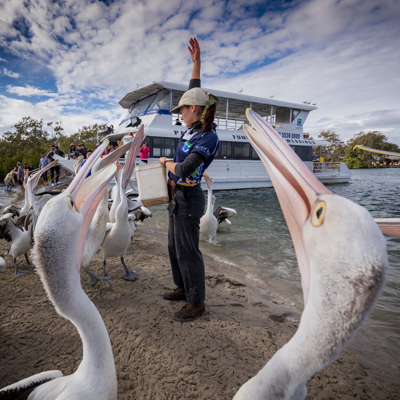 Tweed River Boat Hire Tweed Tourism