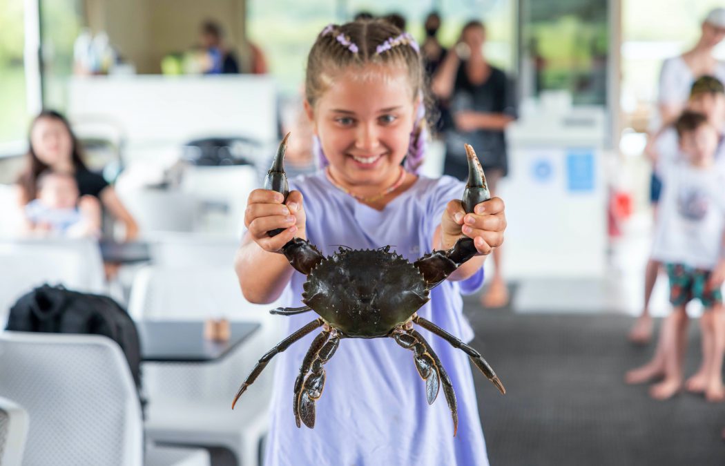 oyster tour gold coast