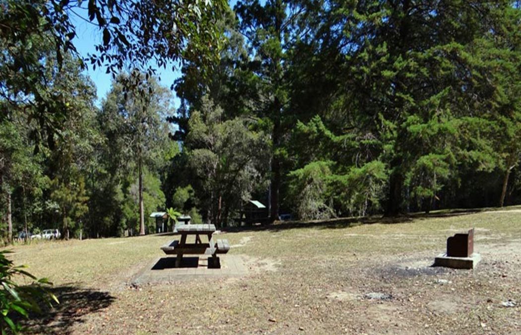 Cutters Camp campground Tweed Tourism