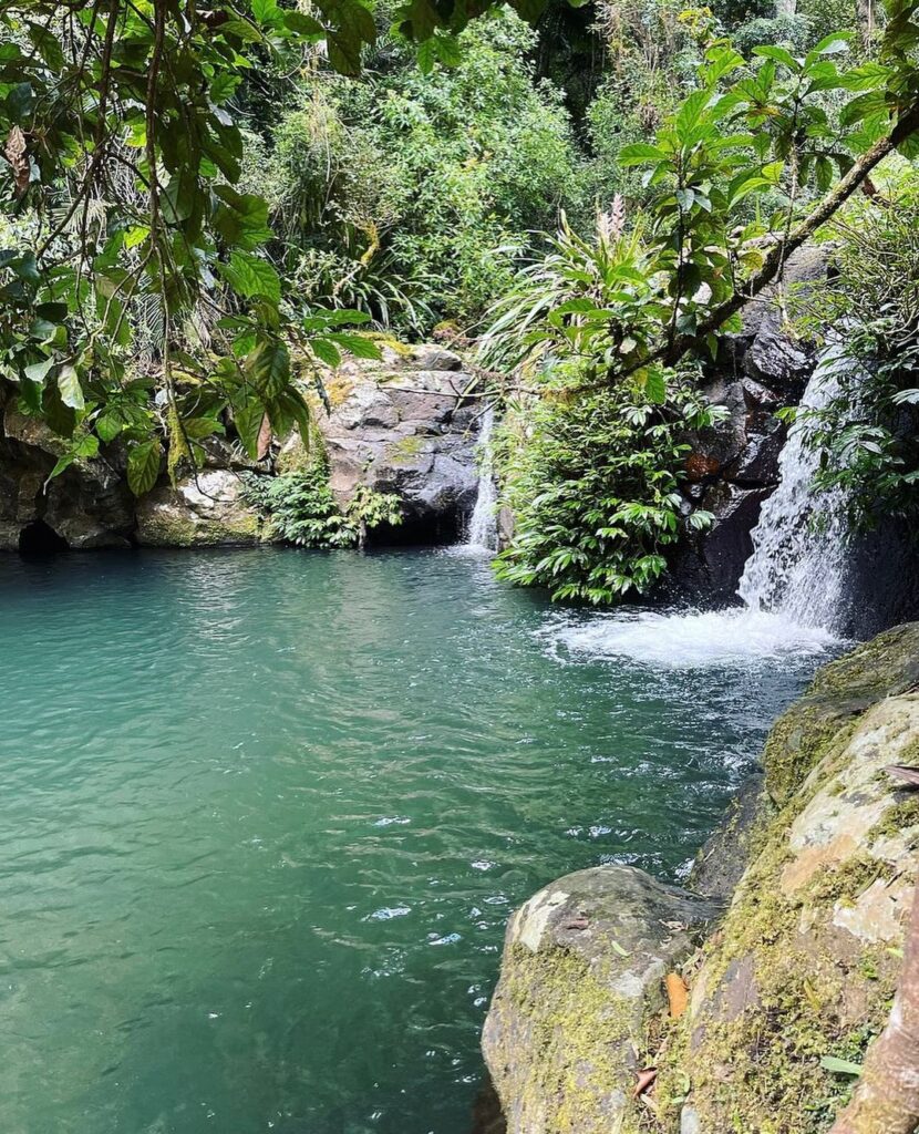 evans falls at border ranges national park