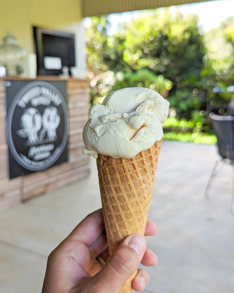 scoop of gelato at tweed valley whey farmhouse cheeses