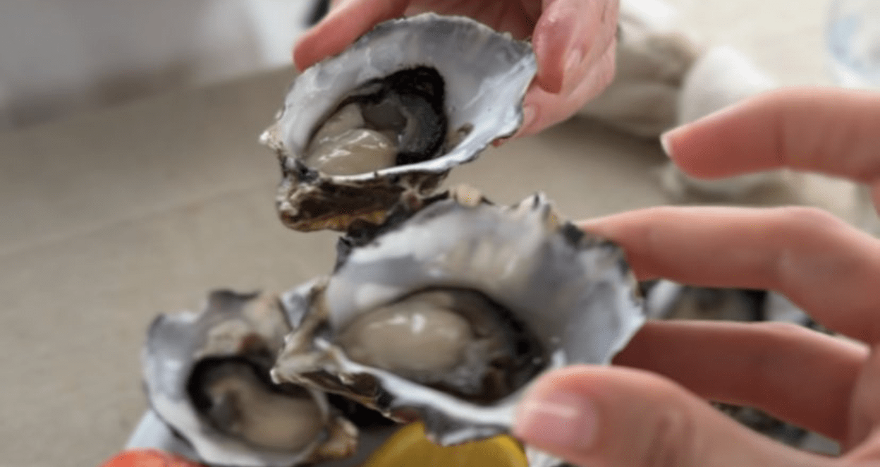 enjoying oysters on tweed river cruise